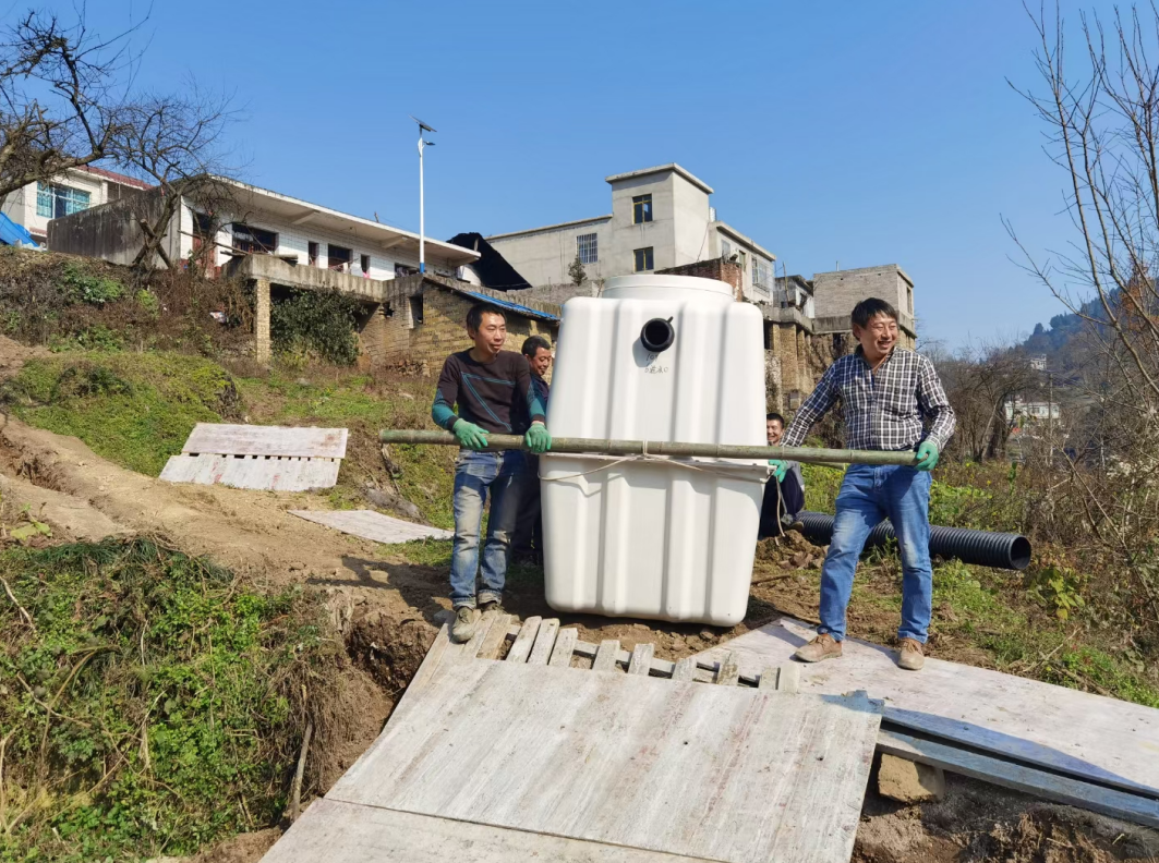 <b>������</b>